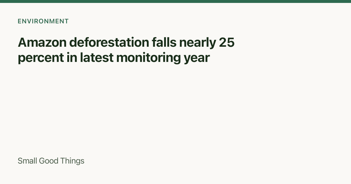 Amazon deforestation falls nearly 25 percent in latest monitoring year — Amazon Basin, Brazil