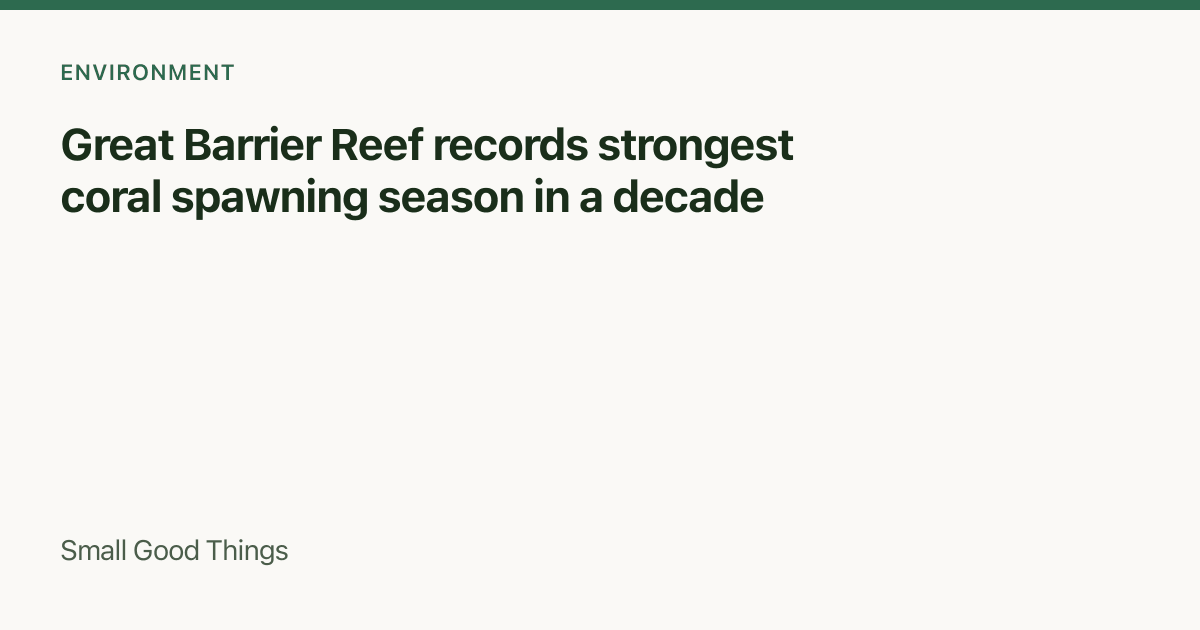 Great Barrier Reef records strongest coral spawning season in a decade — Queensland, Australia