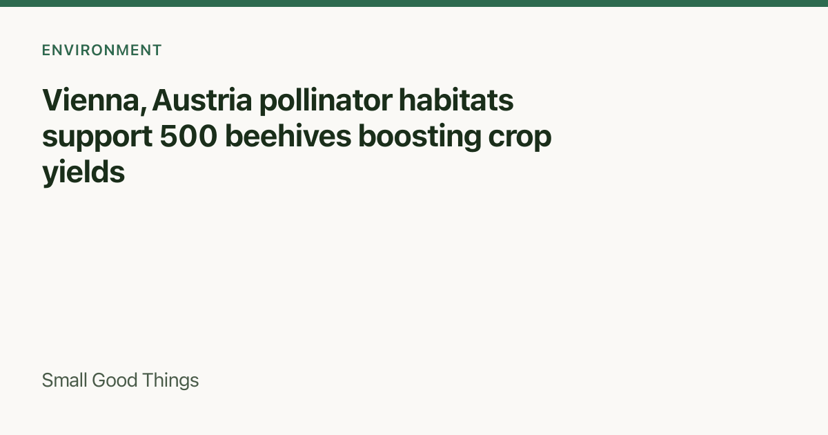Vienna, Austria pollinator habitats support 500 beehives boosting crop yields — Vienna, Austria