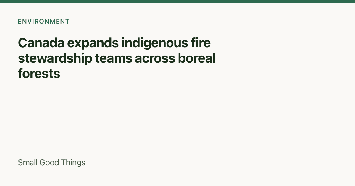 Canada expands indigenous fire stewardship teams across boreal forests — Canada