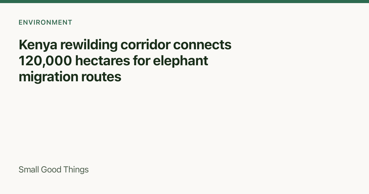 Kenya rewilding corridor connects 120,000 hectares for elephant migration routes — Kenya