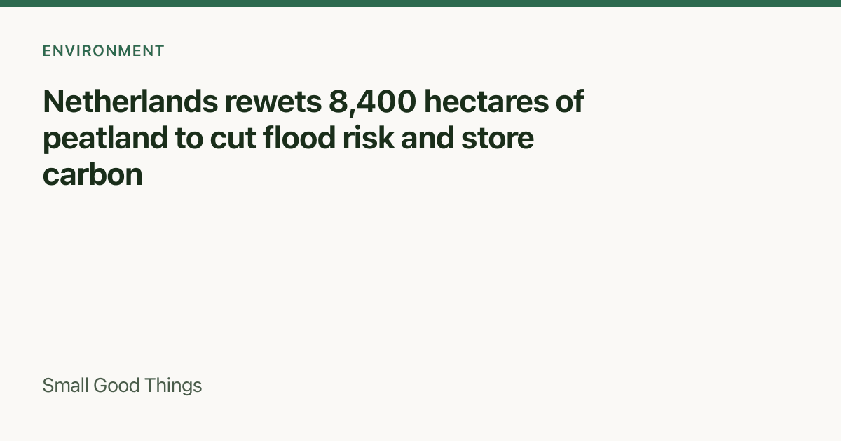 Netherlands rewets 8,400 hectares of peatland to cut flood risk and store carbon — Netherlands