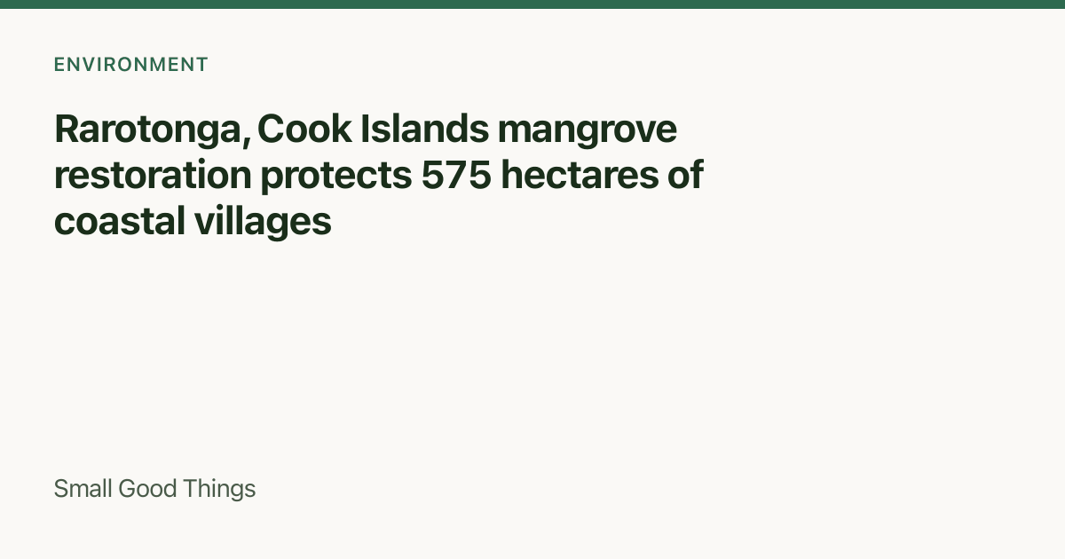 Rarotonga, Cook Islands mangrove restoration protects 575 hectares of coastal villages — Rarotonga, Cook Islands