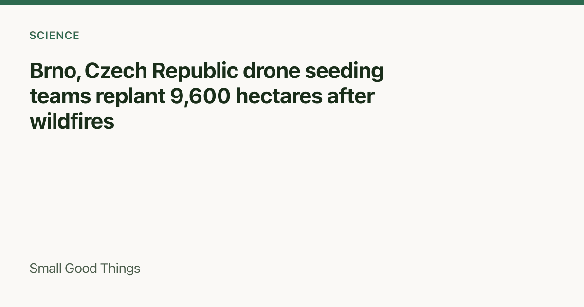 Brno, Czech Republic drone seeding teams replant 9,600 hectares after wildfires — Brno, Czech Republic