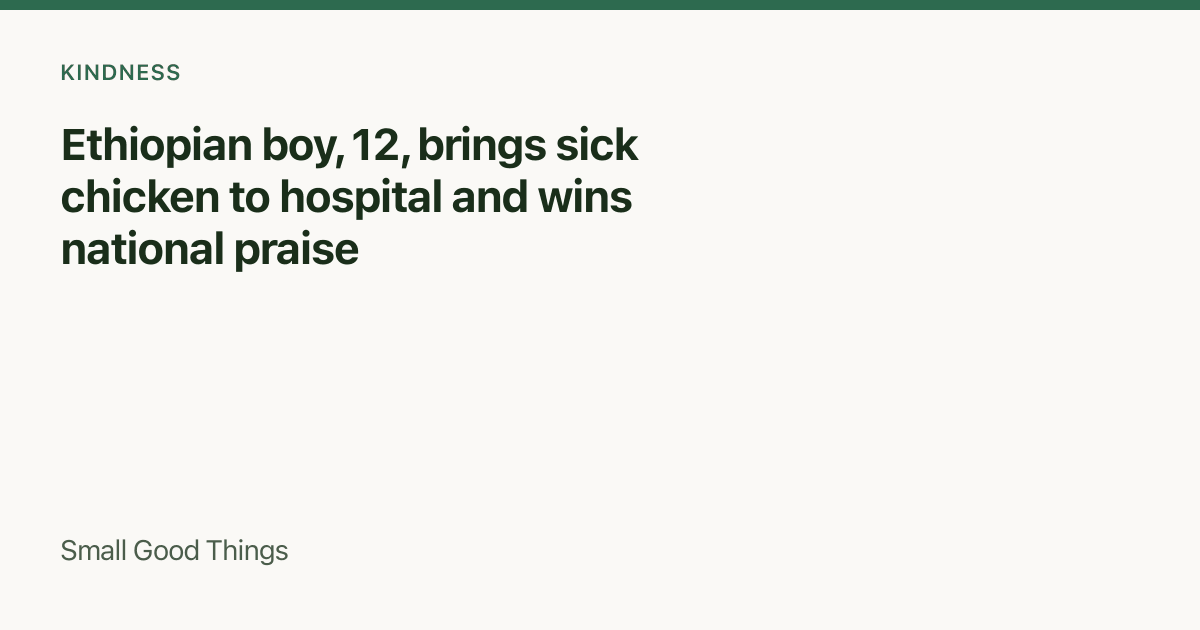 Ethiopian boy, 12, brings sick chicken to hospital and wins national praise — Denbecha, Ethiopia