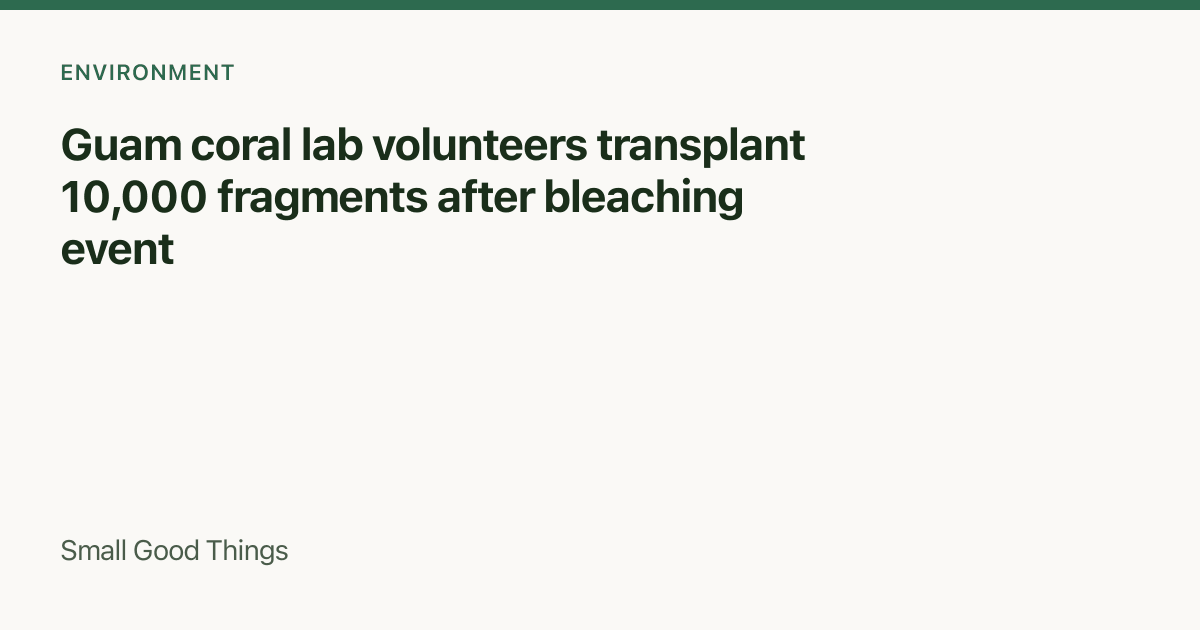 Guam coral lab volunteers transplant 10,000 fragments after bleaching event — Guam