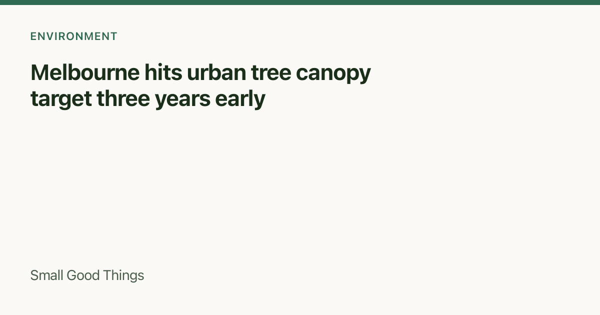 Melbourne hits urban tree canopy target three years early — Melbourne, Australia