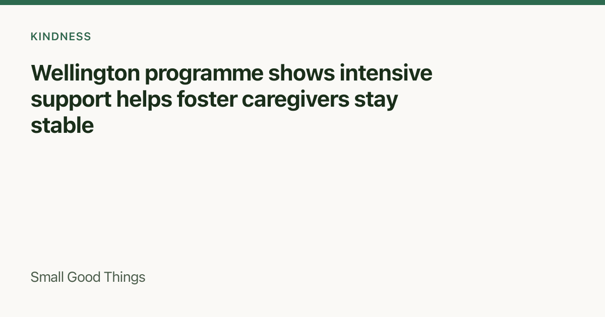 Wellington programme shows intensive support helps foster caregivers stay stable — Wellington, New Zealand