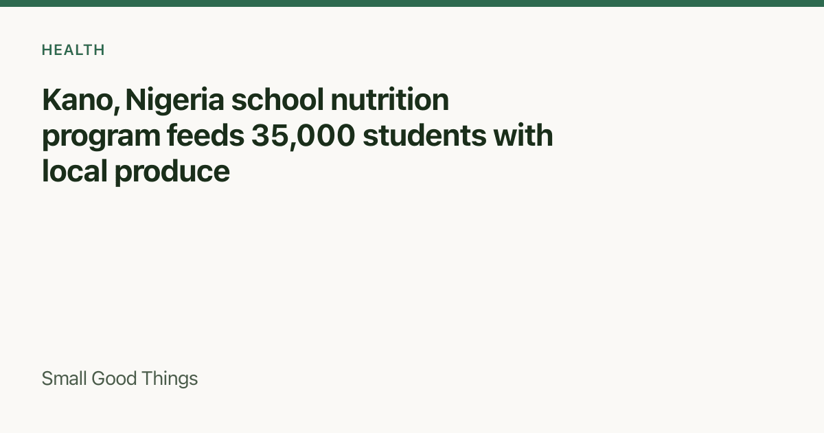 Kano, Nigeria school nutrition program feeds 35,000 students with local produce — Kano, Nigeria