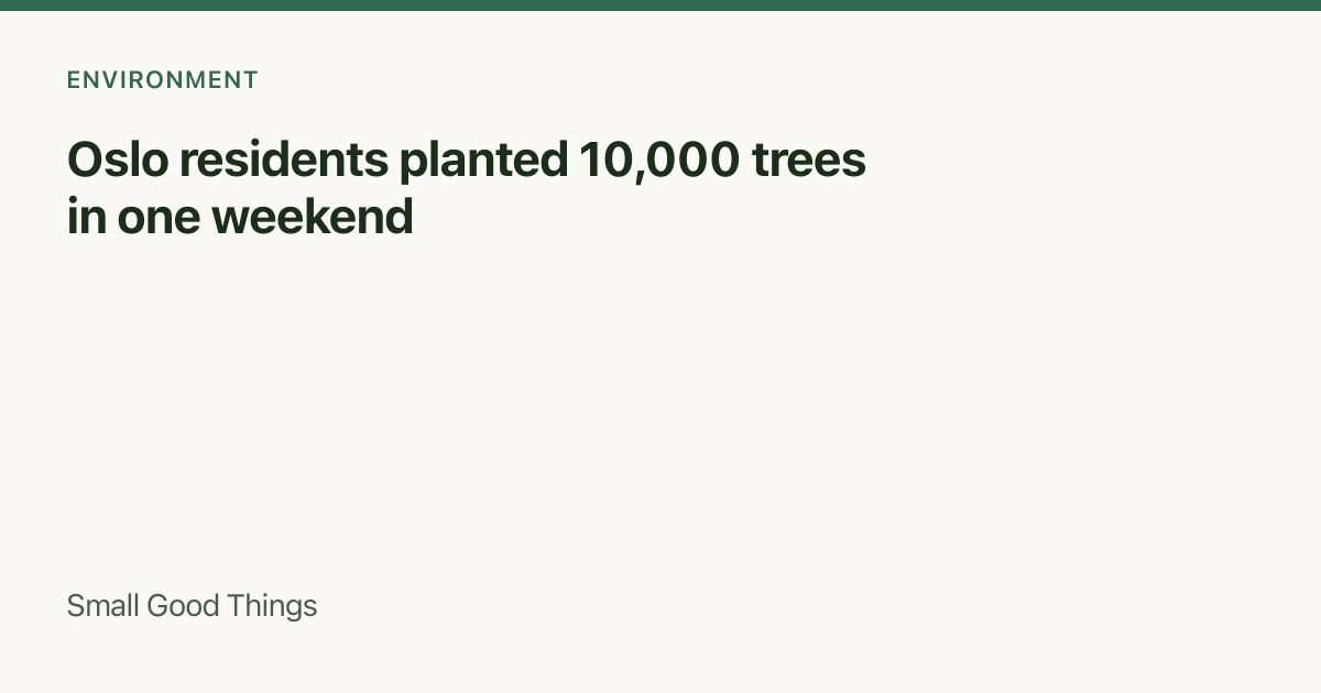 Oslo residents planted 10,000 trees in one weekend — Oslo, Norway