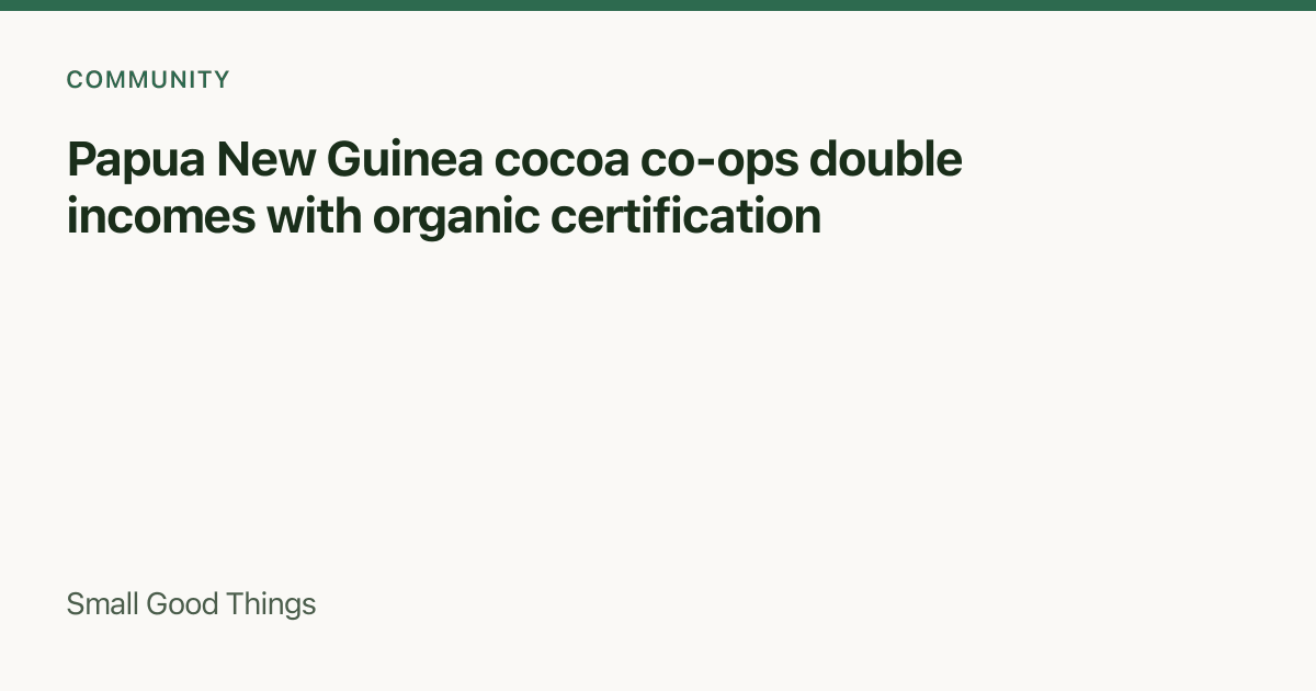 Papua New Guinea cocoa co-ops double incomes with organic certification — Papua New Guinea
