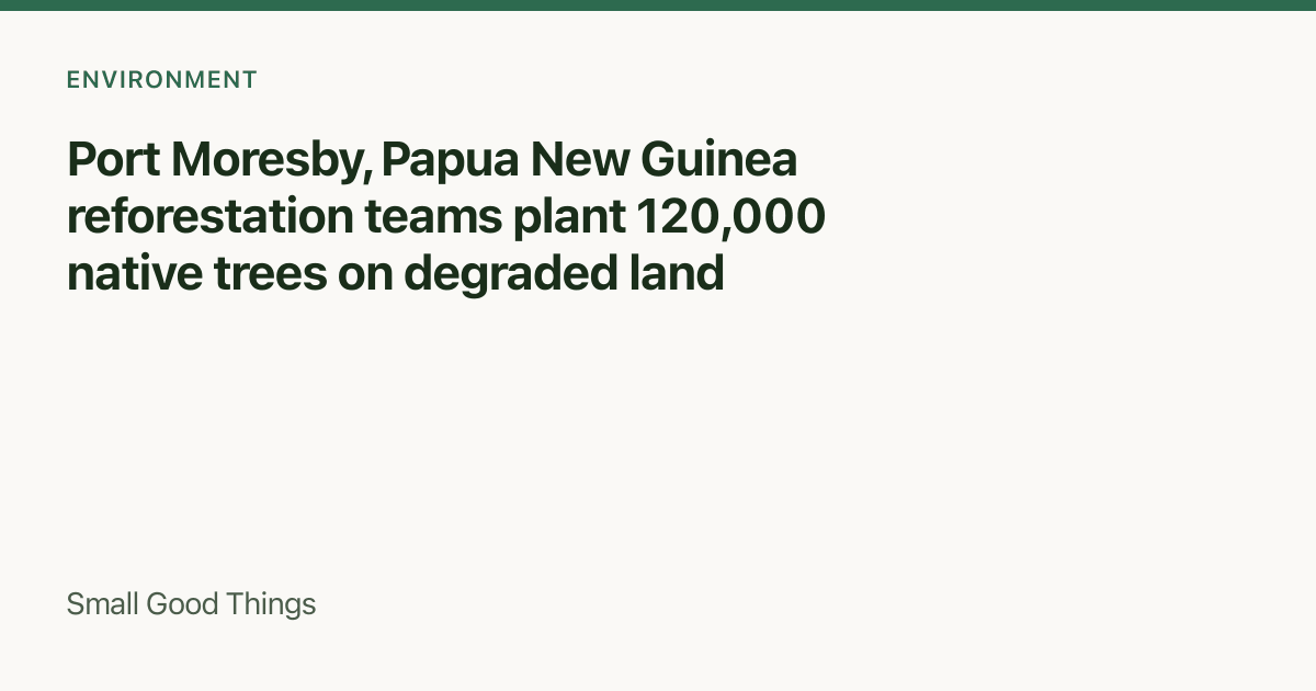Port Moresby, Papua New Guinea reforestation teams plant 120,000 native trees on degraded land — Port Moresby, Papua New Guinea