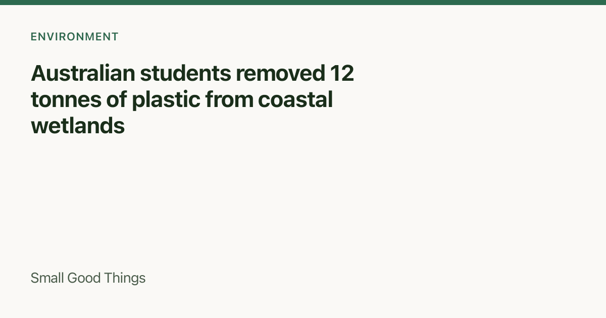 Australian students removed 12 tonnes of plastic from coastal wetlands — Queensland, Australia