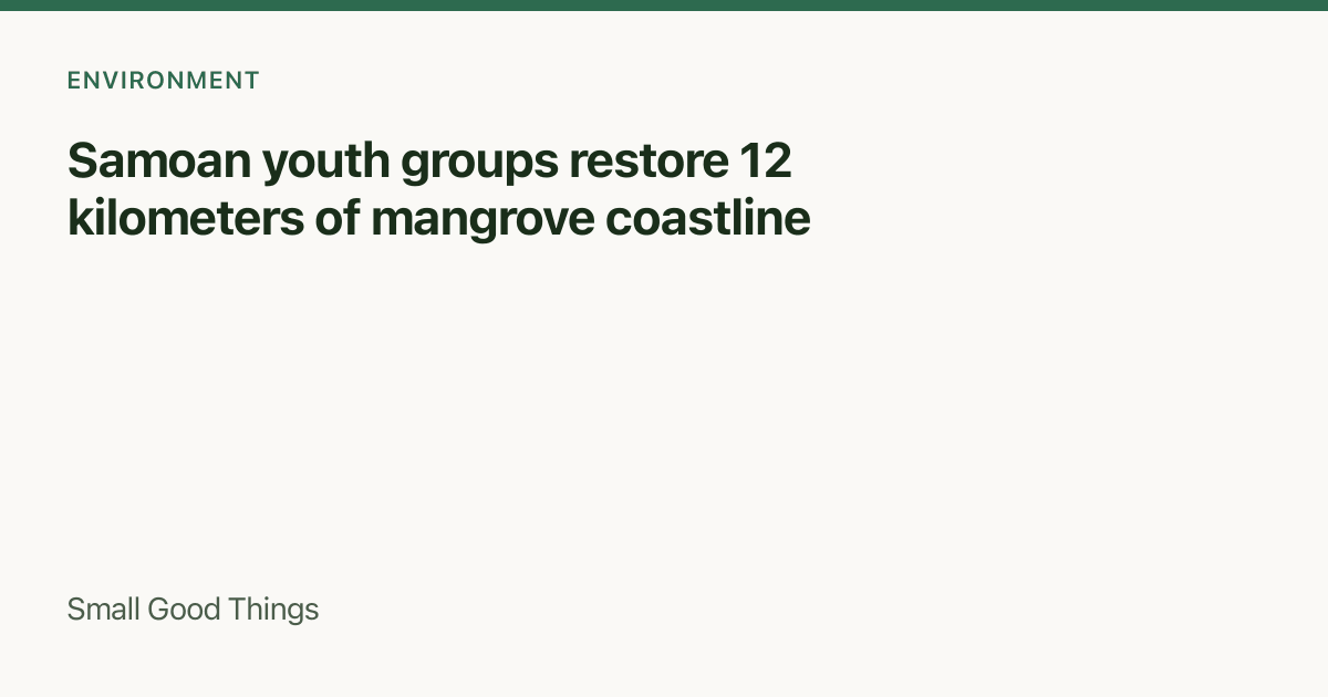 Samoan youth groups restore 12 kilometers of mangrove coastline — Samoa