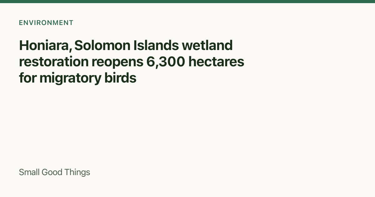 Honiara, Solomon Islands wetland restoration reopens 6,300 hectares for migratory birds — Honiara, Solomon Islands