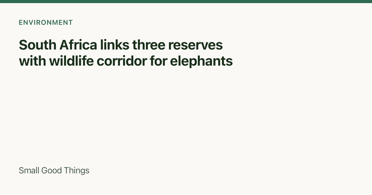 South Africa links three reserves with wildlife corridor for elephants — South Africa
