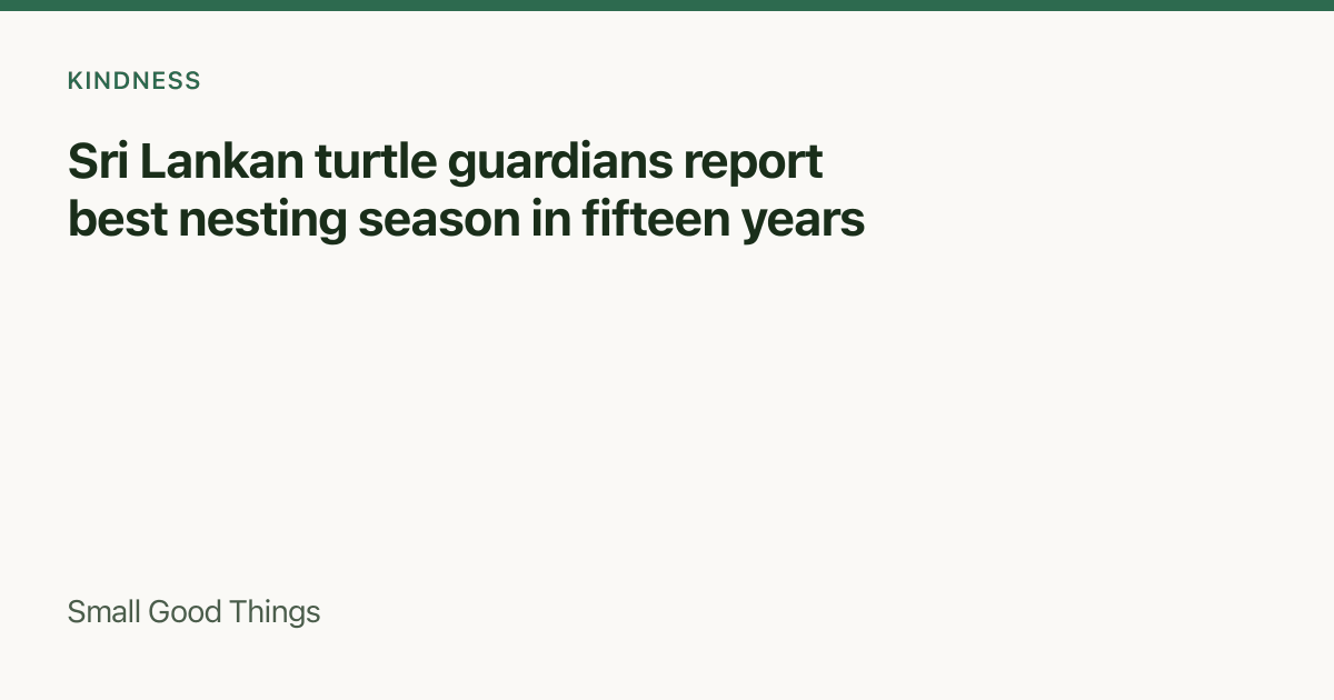 Sri Lankan turtle guardians report best nesting season in fifteen years — Sri Lanka