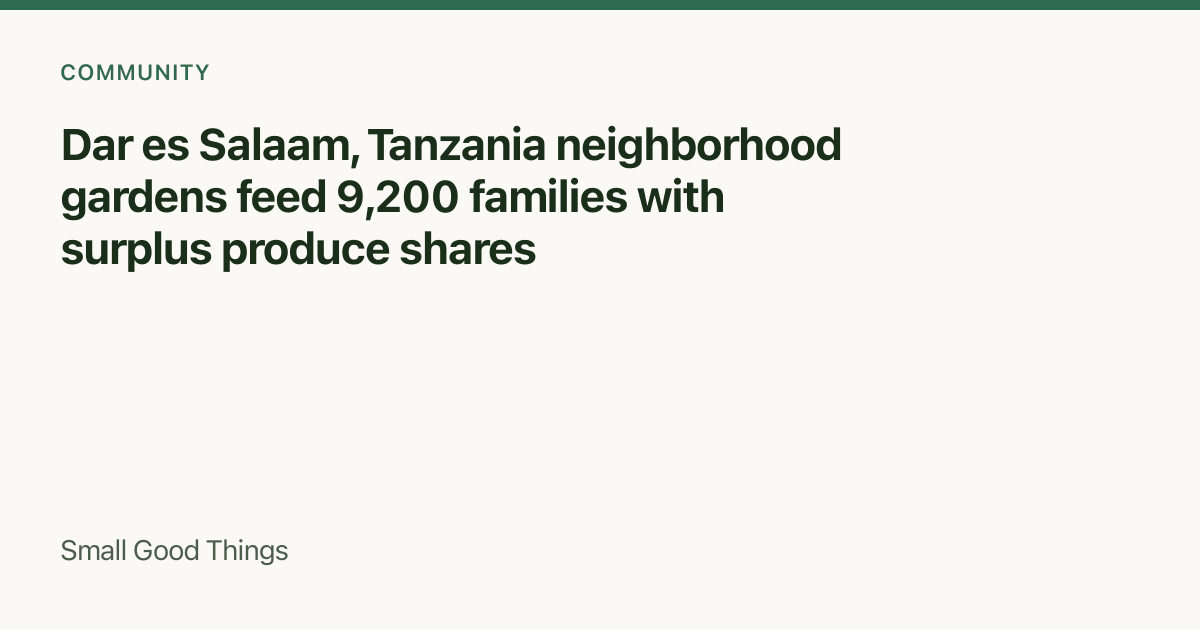 Dar es Salaam, Tanzania neighborhood gardens feed 9,200 families with surplus produce shares — Dar es Salaam, Tanzania