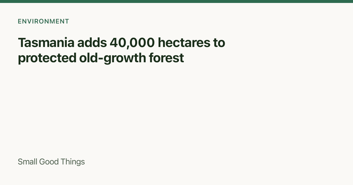 Tasmania adds 40,000 hectares to protected old-growth forest — Tasmania, Australia