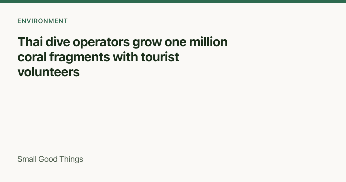 Thai dive operators grow one million coral fragments with tourist volunteers — Thailand