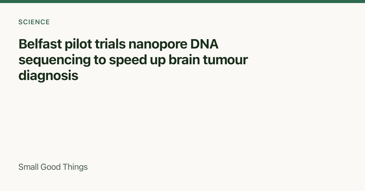 Belfast pilot trials nanopore DNA sequencing to speed up brain tumour diagnosis — Belfast, Northern Ireland, United Kingdom