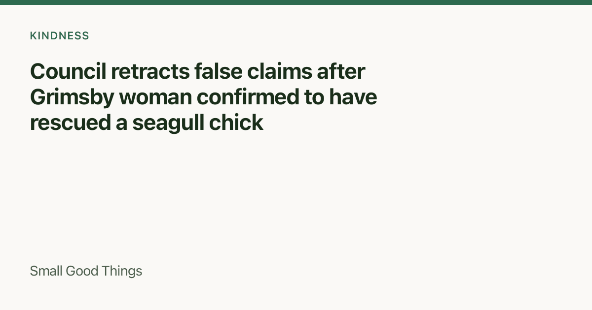 Council retracts false claims after Grimsby woman confirmed to have rescued a seagull chick — West Marsh, Grimsby, United Kingdom