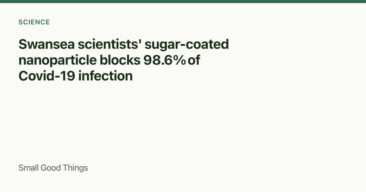 Swansea scientists' sugar-coated nanoparticle blocks 98.6% of Covid-19 infection — Swansea, Wales, United Kingdom