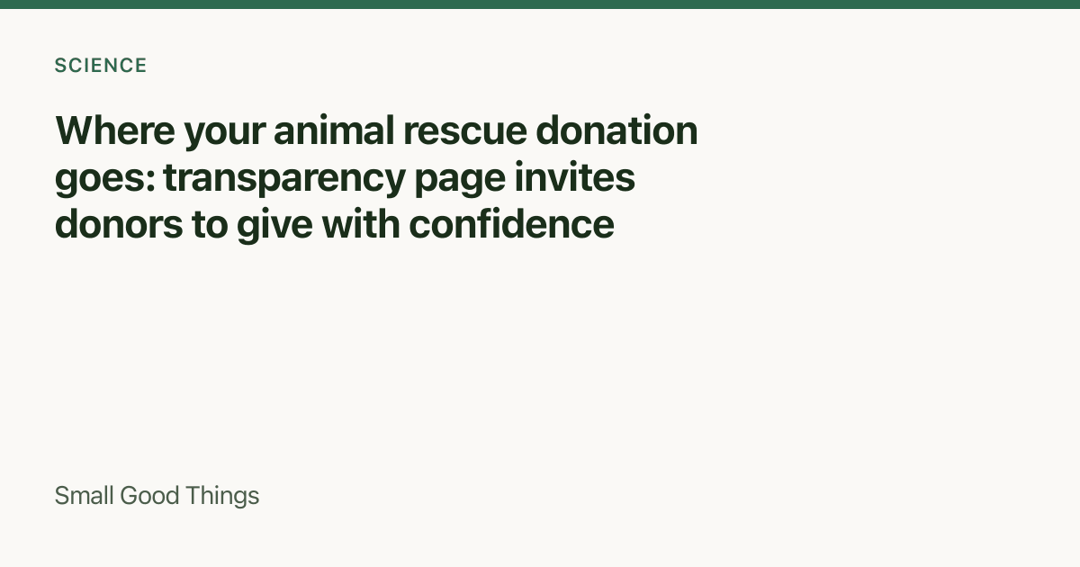 Where your animal rescue donation goes: transparency page invites donors to give with confidence — England & Wales, United Kingdom