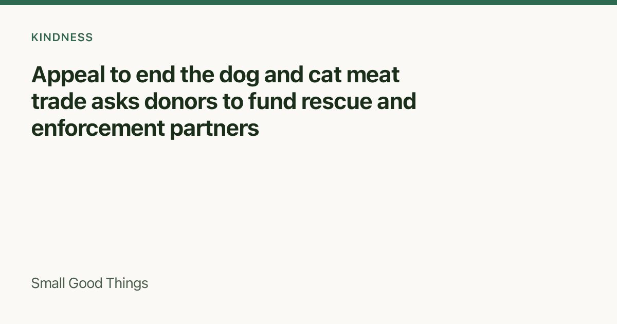 Appeal to end the dog and cat meat trade asks donors to fund rescue and enforcement partners — Southeast Asia