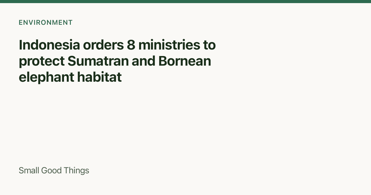 Indonesia orders 8 ministries to protect Sumatran and Bornean elephant habitat — Sumatra and North Kalimantan, Indonesia