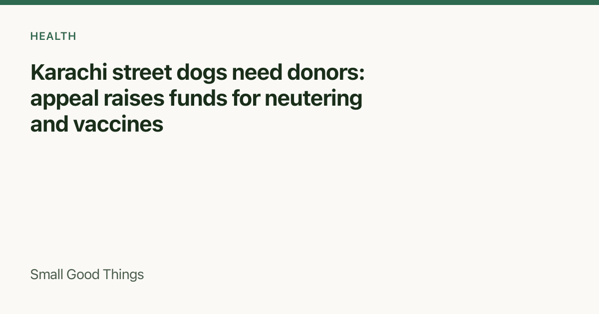 Karachi street dogs need donors: appeal raises funds for neutering and vaccines — Karachi, Pakistan