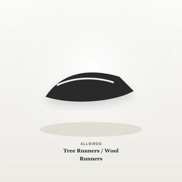 Allbirds Tree Runners / Wool Runners product photo