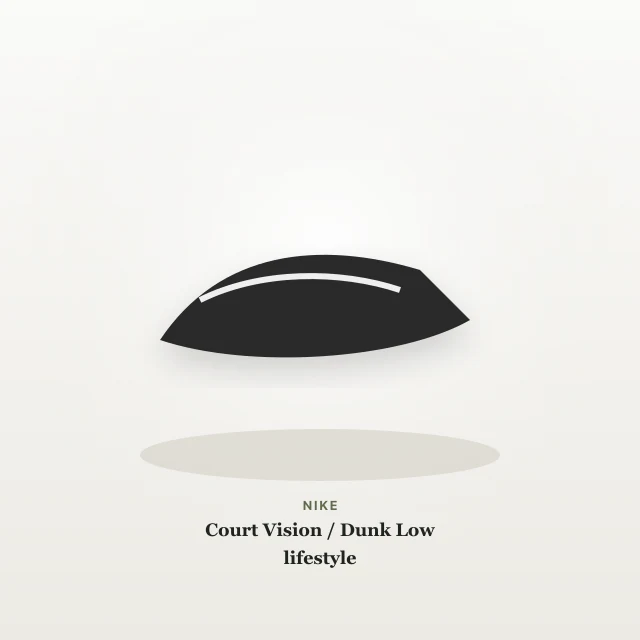 Nike Court Vision / Dunk Low lifestyle product photo